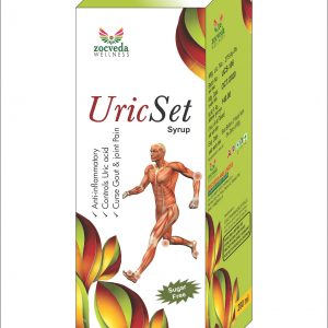 UricSet Syrup | Ayurvedic Medicine Manufacturers