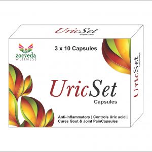 UricSet Capsules | Ayurvedic Medicine Manufacturers