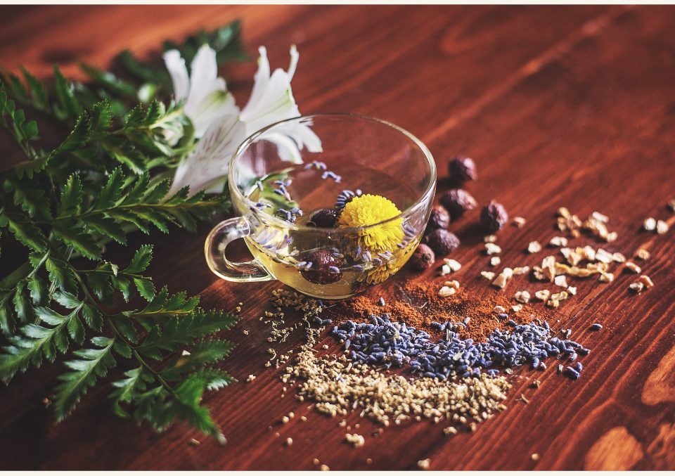 Top Ayurvedic Companies in India