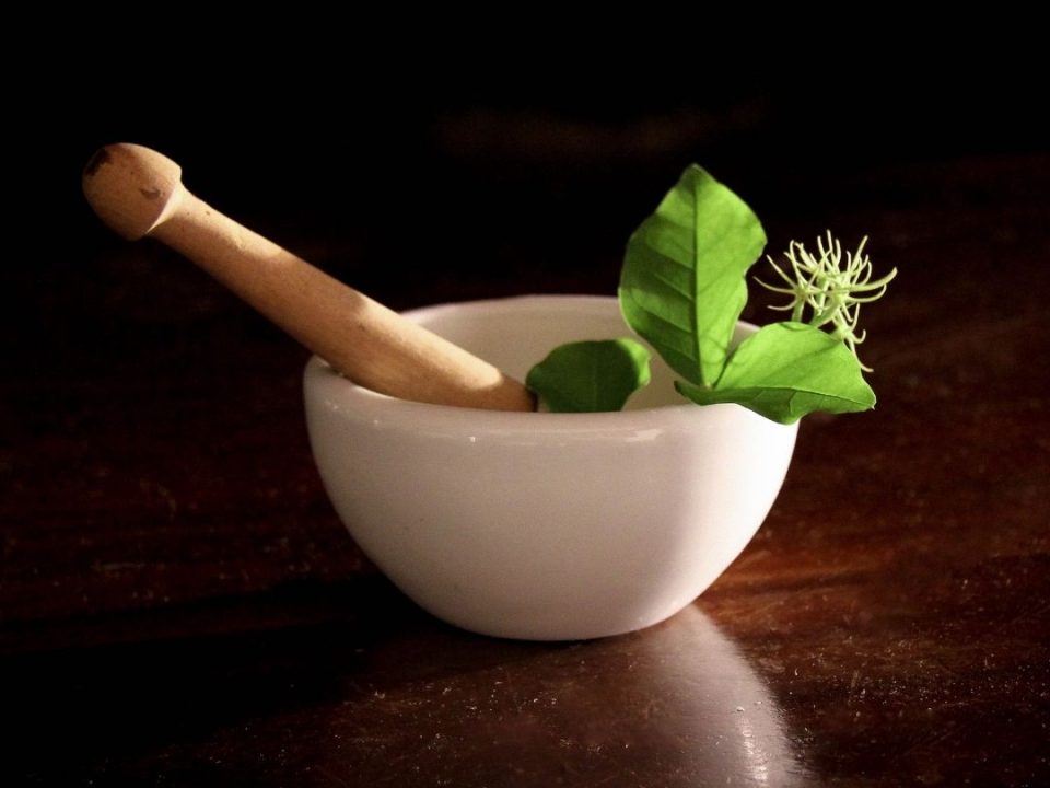 Ayurvedic Medicine Manufacturer In Baddi