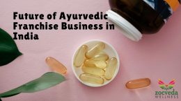 Future of Ayurvedic Franchise Business in India: Trends, Growth and Opportunities