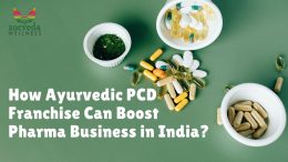 How Ayurvedic PCD Franchise Can Boost Pharma Business in India?