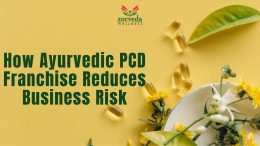 How Ayurvedic PCD Franchise Reduces Business Risk