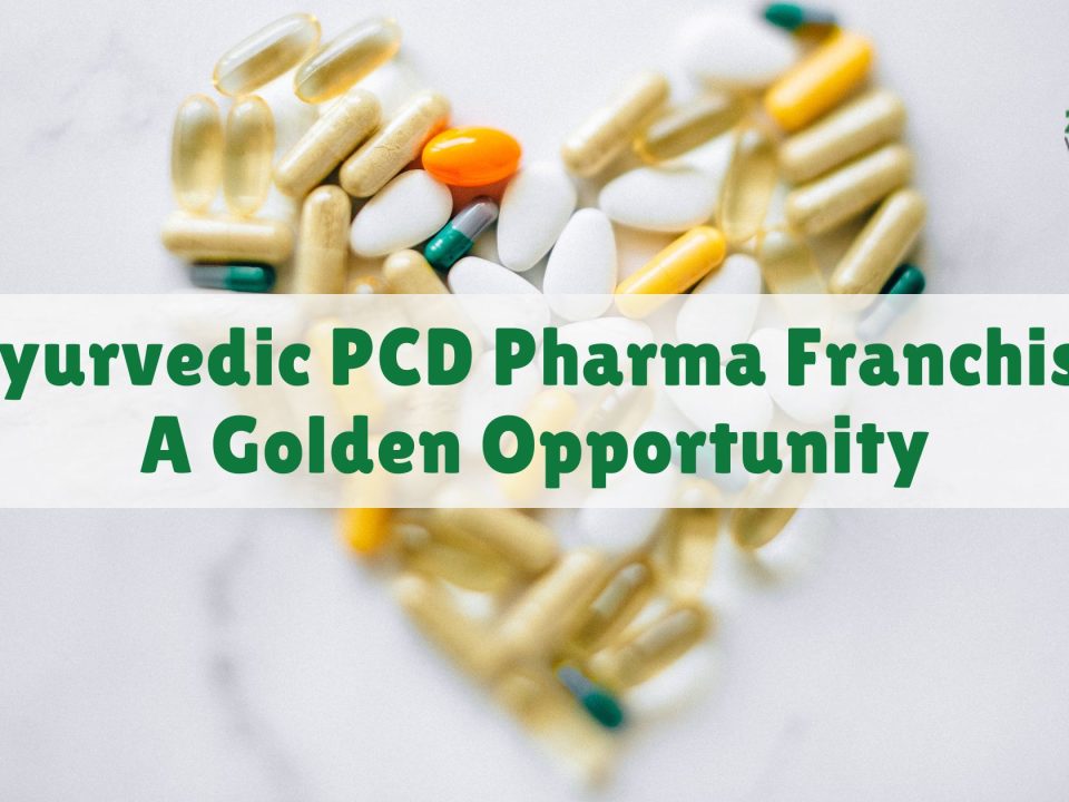 Ayurvedic PCD Pharma Franchise: A Golden Opportunity