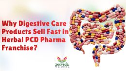 Why Digestive Care Products Sell Fast in Herbal PCD Pharma Franchise?