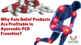Why Pain Relief Products Are Profitable in Ayurvedic PCD Franchise?